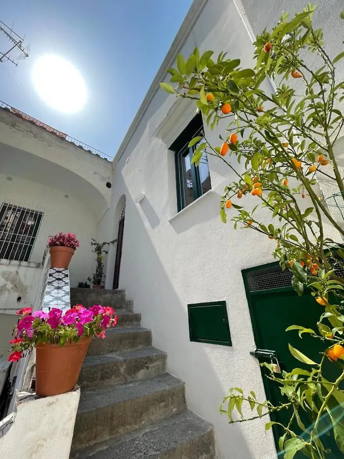 Appartamento - Antica Residenza Amalfitana Amalfi